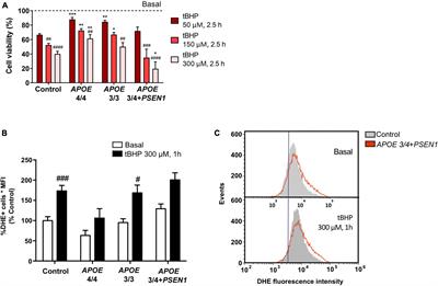 APOE ε4 allele, along with G206D-PSEN1 mutation, alters mitochondrial networks and their degradation in Alzheimer’s disease